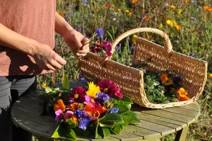 Composition: Ecological Funeral, Making a bouquet for an interment