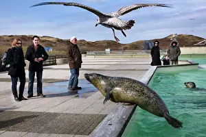 Visitors: Ecomar visitors centre and seals rescue centre