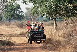 Zambia: Ecotourism - Safari