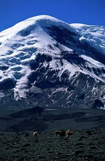 Chimborazo: Ecuador - Chimborazo Volcano from the west