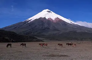 Francois Gohier: ECUADOR - COTOPAXI 5897m - seen from Northwest