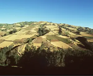 Francois Gohier: ECUADOR - Fields on slopes of Andes