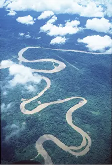 Rungnapa Sasitorn: ECUADOR RAINFOREST - river and oxbows