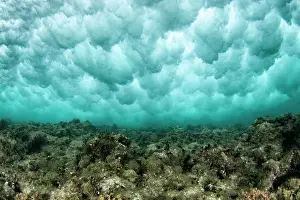 Surfs: Under the eddy of a wave breaking on the reef in