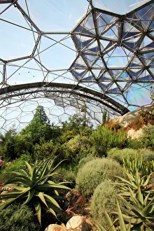 Geogrpaphy: Eden Project - inside Mediterranean Biome