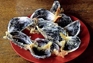 Delicacy: Edible Birds Nests, Malaysia