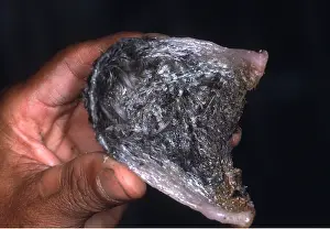 Held: Edible SWIFTLET Nest - Black Nest - being held