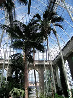 Greenhouses: Edinburgh Botanic Garden Palm House