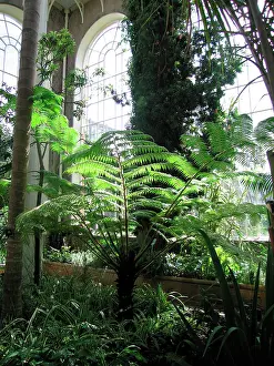 Greenhouses: Edinburgh Botanic Garden Palm House