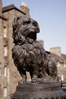 Edinburgh: Edinburgh - statue of dog, Greyfriars Bobby (Dog)