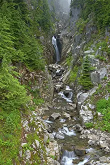Edith: Edith Creek Falls. Mount Rainier National Park