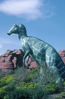 Calgary: Edmontosaurus