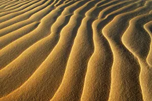 Sandstone: Egypt, Great Sand Sea, Middle East, Africa
