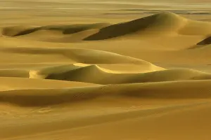 Sandstone: Egypt, Great Sand Sea, Middle East, Africa