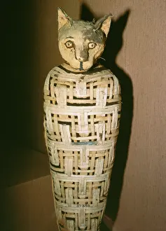 Goddess: Egypt - Mummified Cat, dedicated to Goddess Bastet. 30 BC