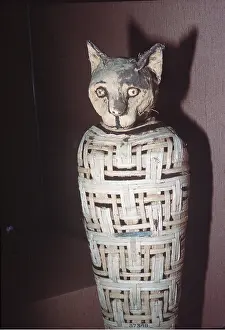 Archaeology: EGYPT - mummified cat, dedicated to Goddess Bastet. 30 BC