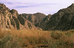 Oasis: Egypt - a typical uninhabited oasis among rocks