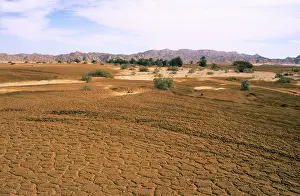 Oasis: Egypt - A typical uninhabited oasis on a salt water