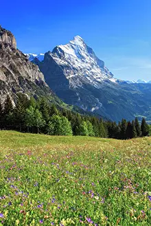 Eiger: Eiger, Grindelwald, Switzerland, Europe
