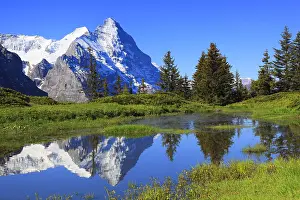 Pinnacle: Eiger and Mic nch, Switzerland, Europe