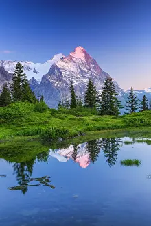 Eiger: Eiger, Monk, Switzerland, Europe