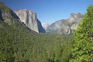 Capitan: El Capitan in Yosemite Valley