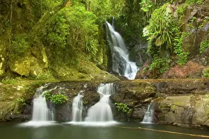 Amidst: Elabana Falls - beautiful waterfall amidst lush