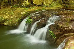 Amidst: Elabana Falls - waterfall amidst lush subtropical