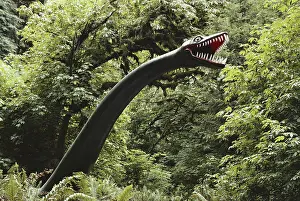 Replica: Elasmosaurus