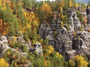 Bastion: Elbe Sandstone Mountains bastion - Autumn