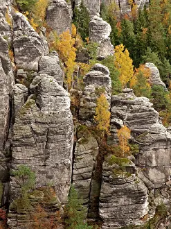 Bastion: Elbe Sandstone Mountains bastion - Autumn