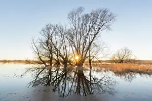 Flood: Elbe Valley flood