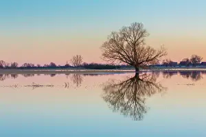 Flood: Elbe Valley flood