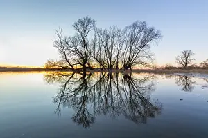 Flood: Elbe Valley flood
