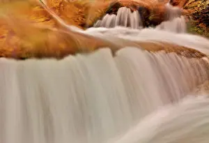 Converging: Elbow Falls