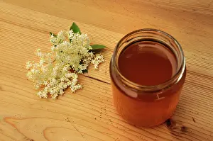 Sambucus: Elder, Sambucus nigra, Elderflower and lemon flavoured honey
