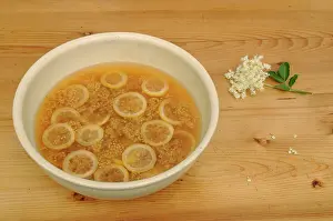 Sambucus: Elder, Sambucus nigra, Elderflower and lemon slices being us