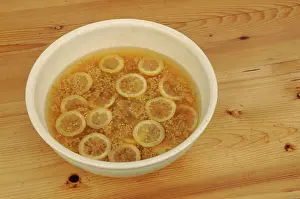 Sambucus: Elder, Sambucus nigra, Elderflower and lemon slices being us