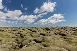 230621: Eldhraun lava field - a moss covered lava flow -