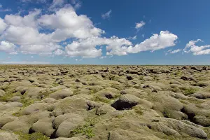 190122: Eldhraun lava field - a moss covered lava flow - Iceland