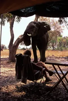 Tents: Elephant and camper