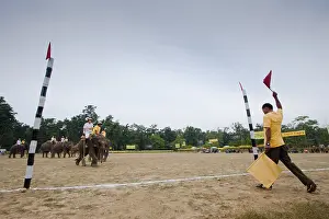 Competitions: Elephant goal at the World Elephant Polo Terai Nepal