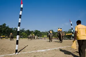 Competitions: Elephant goal at the World Elephant Polo Terai Nepal