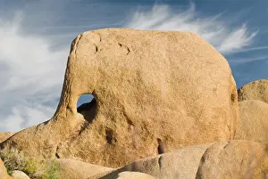 Joshua: Elephant Rock