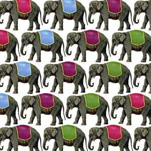 Packaging: Elephants