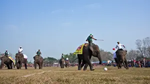 Competitions: Elephants playing football - Elephant festival Chitwan Nepal