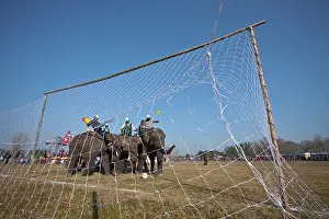 Competitions: Elephants playing football - Elephant festival Chitwan Nepal