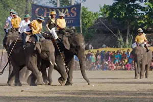 Tamed: Elephants playing at the World Elephant Polo Terai Nepal