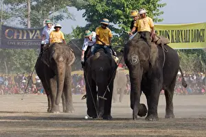 Competitions: Elephants playing at the World Elephant Polo Terai Nepal
