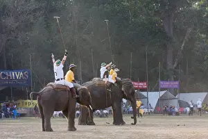 Competitions: Elephants victorious at the World Elephant Polo Terai Nepal